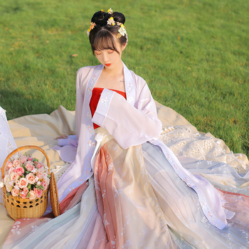 Ženski Hanfu s četiri sezone stilom, prilagođena tradicionalna kineska haljina, kostim za nastupe u kineskom stilu, cosplay kostim s dugim rukavima