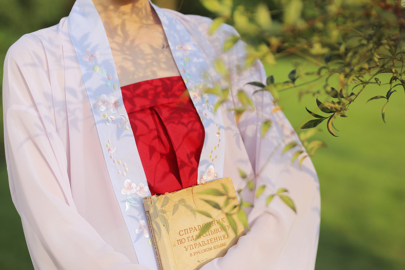 Ženski Hanfu s četiri sezone stilom, prilagođena tradicionalna kineska haljina, kostim za nastupe u kineskom stilu, cosplay kostim s dugim rukavima