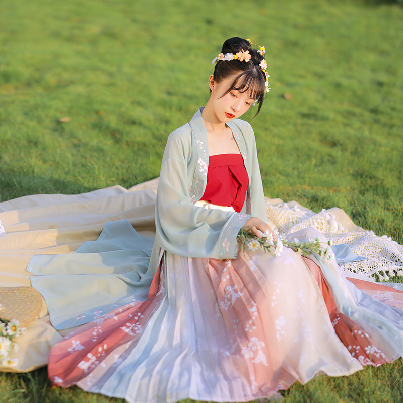Ženski Hanfu s četiri sezone stilom, prilagođena tradicionalna kineska haljina, kostim za nastupe u kineskom stilu, cosplay kostim s dugim rukavima