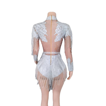 Rochie de dans latino cu franjuri — Toamnă 2023, material spandex, poliester 95%+, stil urban trendsetter, stil neutru