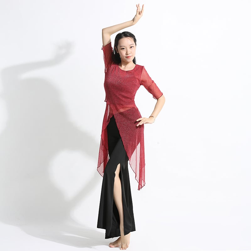 Ženski plesni komplet za praksu — Spandex i Silver Silk Gauze, Belly Dance, top s polu rukavom i široke hlače, klasičan silueta.