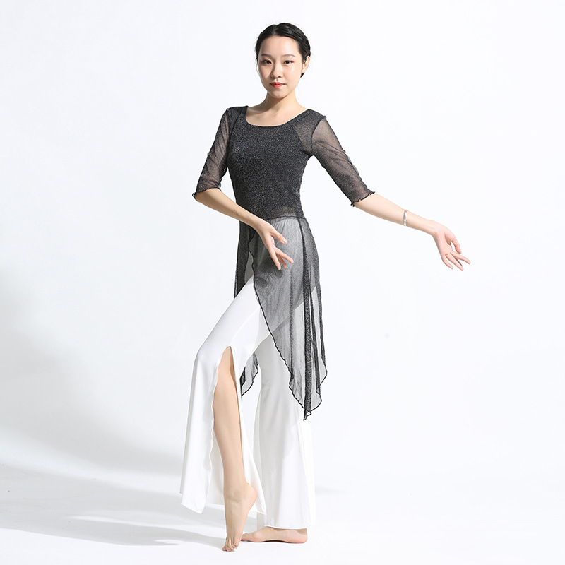 Ženski plesni komplet za praksu — Spandex i Silver Silk Gauze, Belly Dance, top s polu rukavom i široke hlače, klasičan silueta.