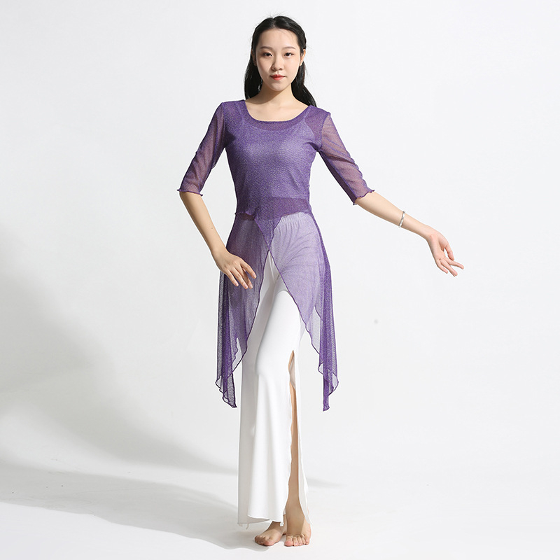 Ženski plesni komplet za praksu — Spandex i Silver Silk Gauze, Belly Dance, top s polu rukavom i široke hlače, klasičan silueta.