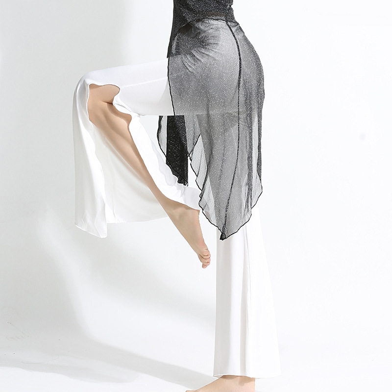 Ženski plesni komplet za praksu — Spandex i Silver Silk Gauze, Belly Dance, top s polu rukavom i široke hlače, klasičan silueta.