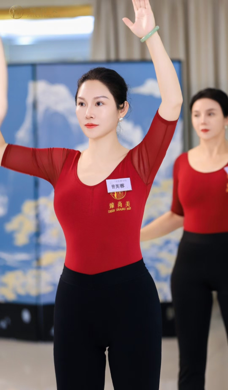 Modni plesni trening-komplet; materijal: pamuk 33,7%; podstava: mliječna svila; sve sezone; pogodno za Belly Dance, balet i latino ples