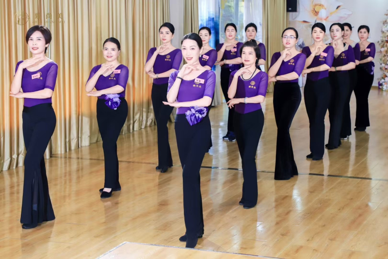 Modni plesni trening-komplet; materijal: pamuk 33,7%; podstava: mliječna svila; sve sezone; pogodno za Belly Dance, balet i latino ples