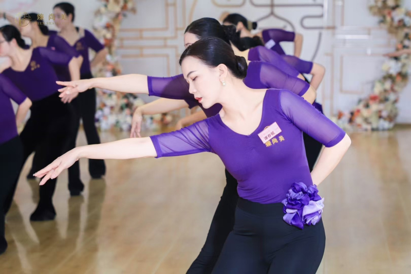 Modni plesni trening-komplet; materijal: pamuk 33,7%; podstava: mliječna svila; sve sezone; pogodno za Belly Dance, balet i latino ples