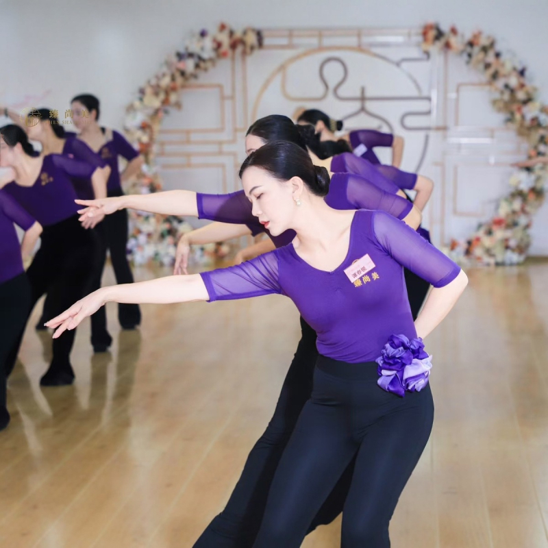 Modni plesni trening-komplet; materijal: pamuk 33,7%; podstava: mliječna svila; sve sezone; pogodno za Belly Dance, balet i latino ples