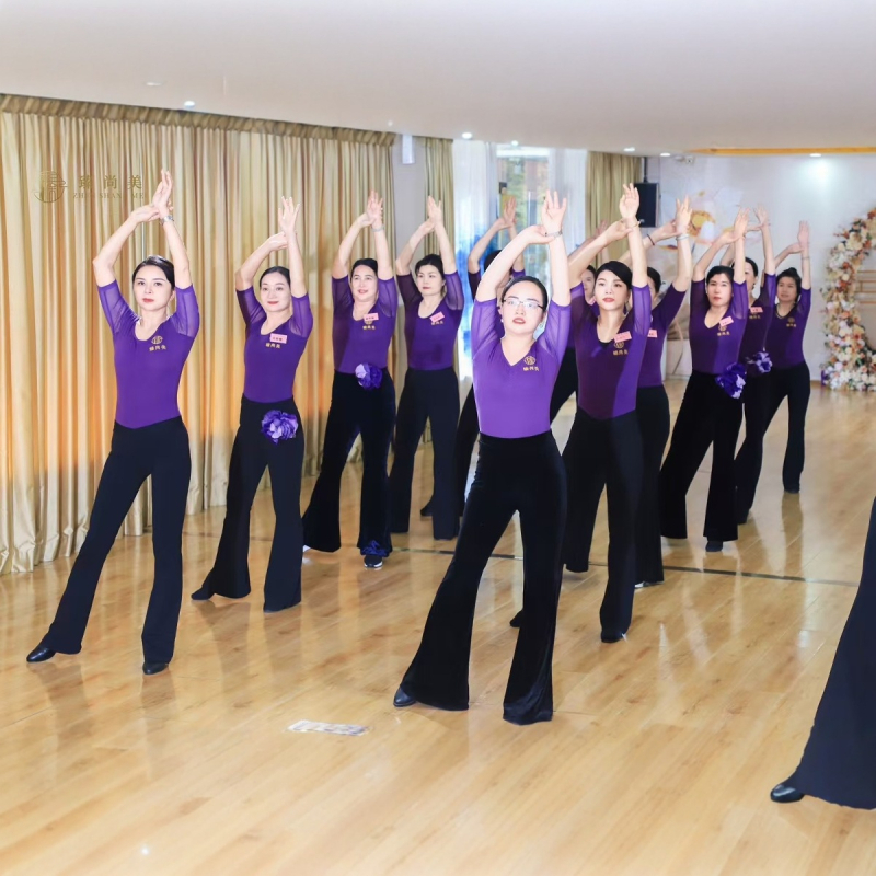 Modni plesni trening-komplet; materijal: pamuk 33,7%; podstava: mliječna svila; sve sezone; pogodno za Belly Dance, balet i latino ples