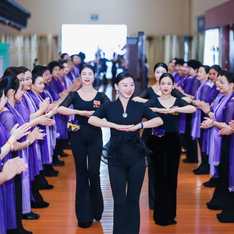 Modni plesni trening-komplet; materijal: pamuk 33,7%; podstava: mliječna svila; sve sezone; pogodno za Belly Dance, balet i latino ples