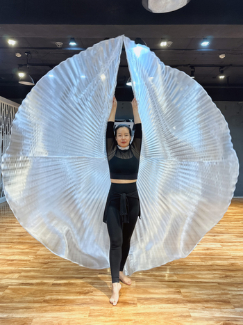 Costum za belly dance s krilima 360° — poliesterska tkanina, metalna tkanina, brend Excellent Core, za žene 18–24