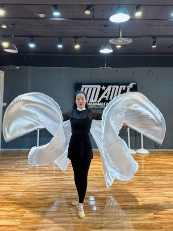 Costum za belly dance s krilima 360° — poliesterska tkanina, metalna tkanina, brend Excellent Core, za žene 18–24