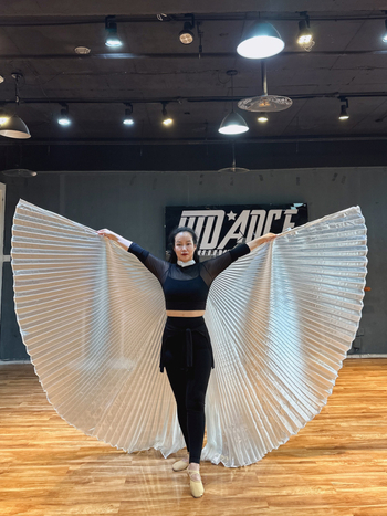 Costum za belly dance s krilima 360° — poliesterska tkanina, metalna tkanina, brend Excellent Core, za žene 18–24