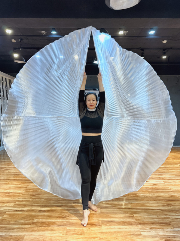 Costum za belly dance s krilima 360° — poliesterska tkanina, metalna tkanina, brend Excellent Core, za žene 18–24