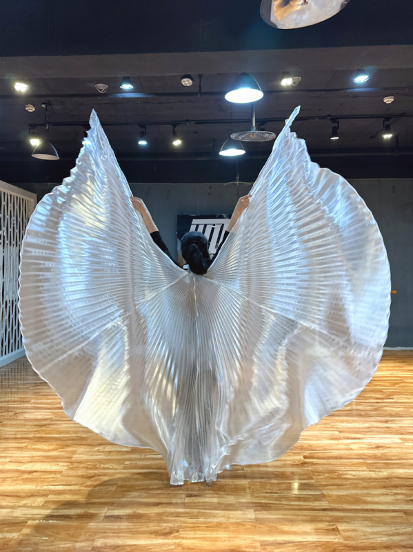 Costum za belly dance s krilima 360° — poliesterska tkanina, metalna tkanina, brend Excellent Core, za žene 18–24