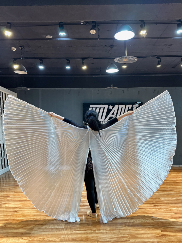 Costum za belly dance s krilima 360° — poliesterska tkanina, metalna tkanina, brend Excellent Core, za žene 18–24