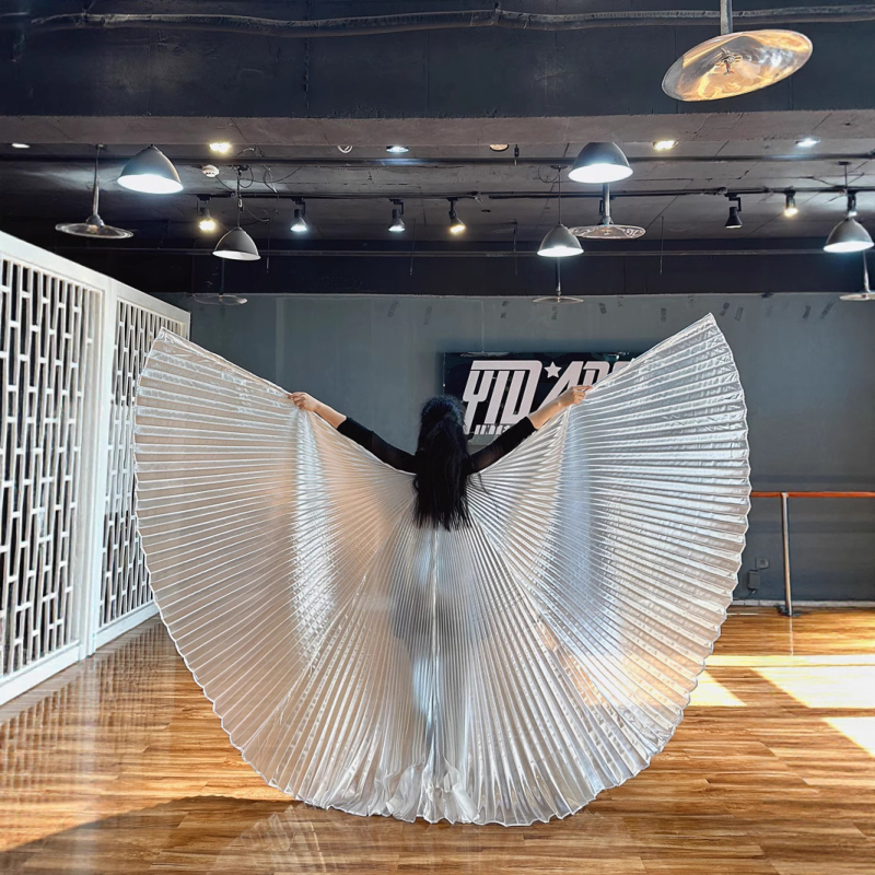 Costum za belly dance s krilima 360° — poliesterska tkanina, metalna tkanina, brend Excellent Core, za žene 18–24