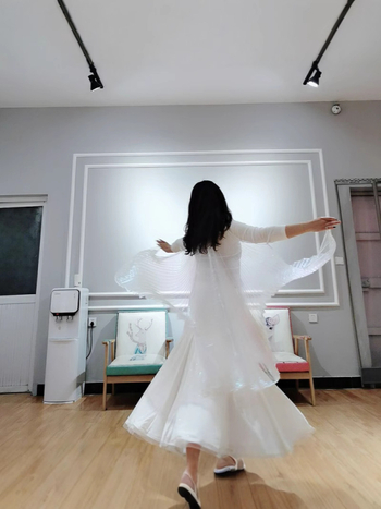 Kostim za belly dance s leđnim krilima i prozirnim krilima, poliester, za žene, 18–24, proljeće 2022