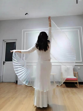 Kostim za belly dance s leđnim krilima i prozirnim krilima, poliester, za žene, 18–24, proljeće 2022