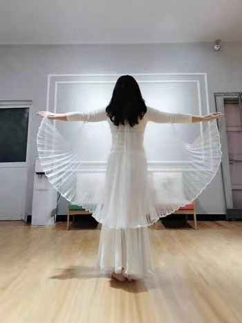 Kostim za belly dance s leđnim krilima i prozirnim krilima, poliester, za žene, 18–24, proljeće 2022
