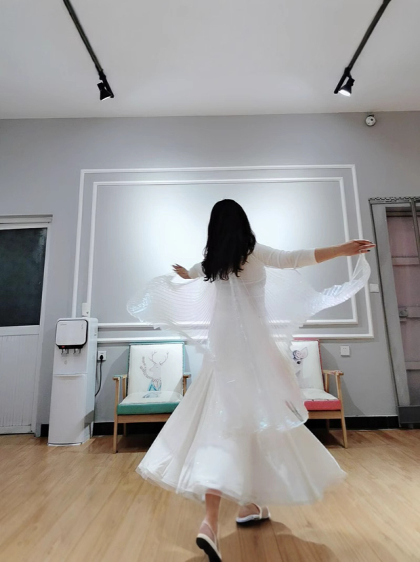 Kostim za belly dance s leđnim krilima i prozirnim krilima, poliester, za žene, 18–24, proljeće 2022