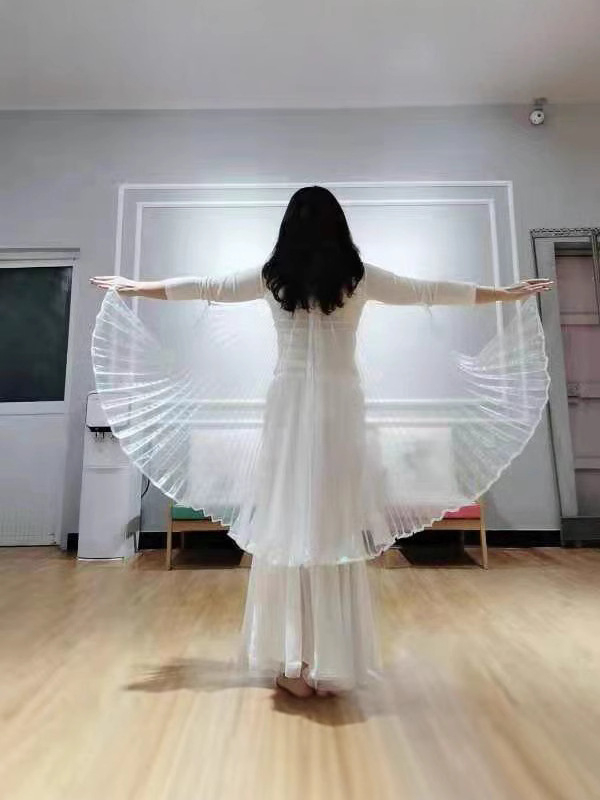 Kostim za belly dance s leđnim krilima i prozirnim krilima, poliester, za žene, 18–24, proljeće 2022