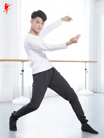 Top de dans modern pentru bărbați – țesătură din bumbac cu căptușeală Lycra, mânecă lungă, pentru dansatori adulți, potrivit pentru balet, Hanfu, dramă, dans latin, dans etnic, Yangko