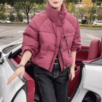 Geacă scurtă de puf Gabrielle pentru femei, iarnă 2024, croială în formă A, guler înalt, fermoar, 51–55% puf de rață alb, material poliester