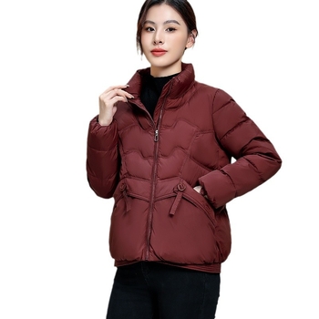 Geacă de iarnă pentru femei, 2024, Umplutură din puf de rață, 66–70% puf, Material Chenille cu Spandex, Croială dreaptă, mâneci lungi, fermoar frontal