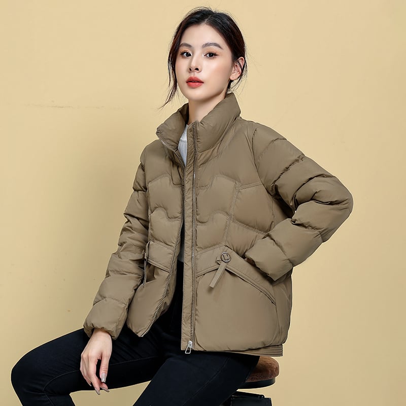 Geacă de iarnă pentru femei, 2024, Umplutură din puf de rață, 66–70% puf, Material Chenille cu Spandex, Croială dreaptă, mâneci lungi, fermoar frontal