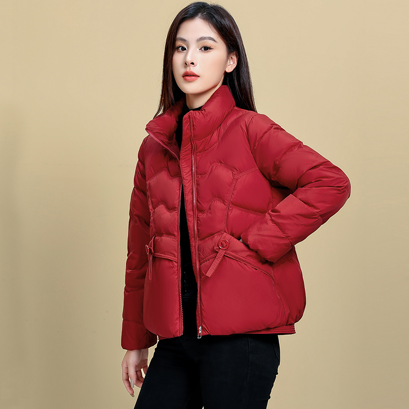 Geacă de iarnă pentru femei, 2024, Umplutură din puf de rață, 66–70% puf, Material Chenille cu Spandex, Croială dreaptă, mâneci lungi, fermoar frontal