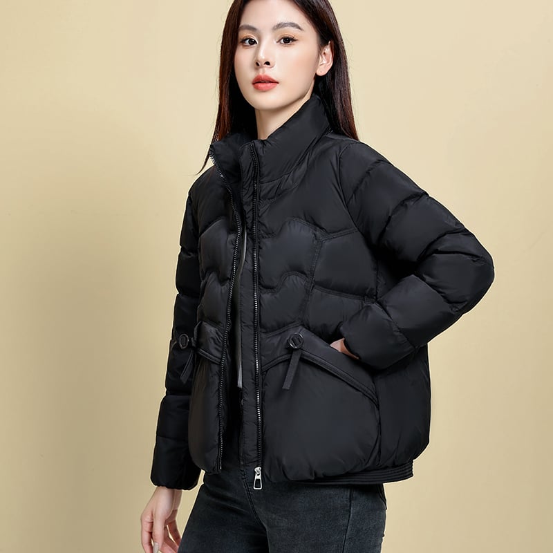 Geacă de iarnă pentru femei, 2024, Umplutură din puf de rață, 66–70% puf, Material Chenille cu Spandex, Croială dreaptă, mâneci lungi, fermoar frontal