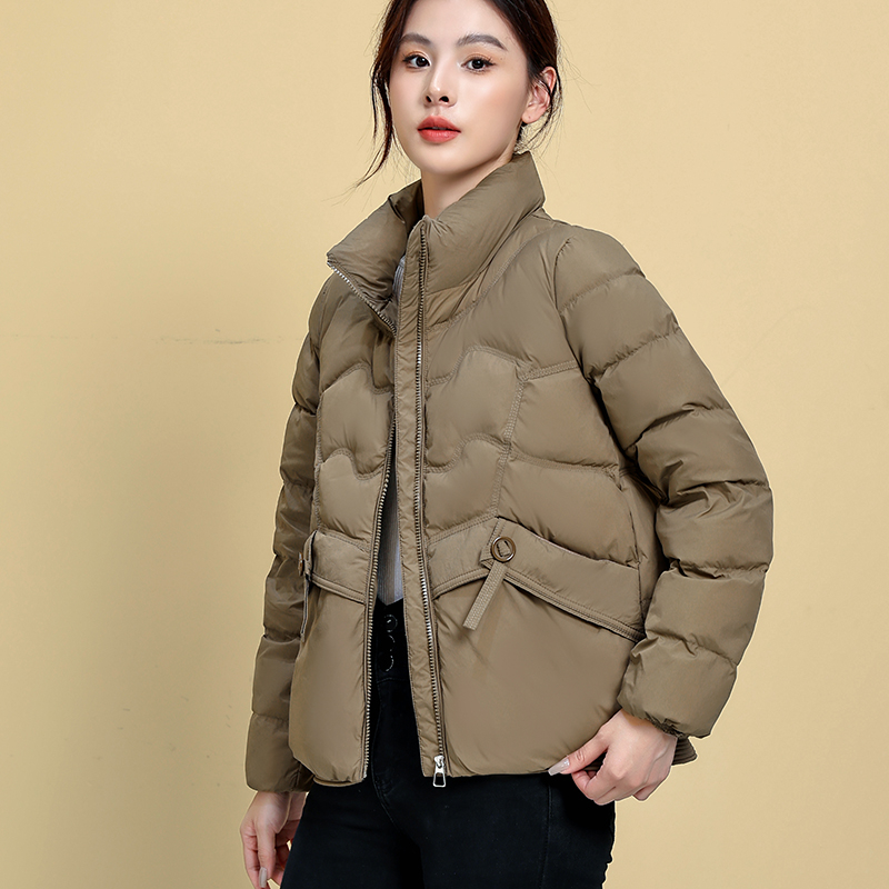 Geacă de iarnă pentru femei, 2024, Umplutură din puf de rață, 66–70% puf, Material Chenille cu Spandex, Croială dreaptă, mâneci lungi, fermoar frontal
