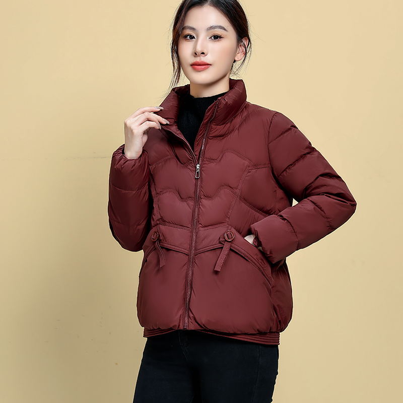 Geacă de iarnă pentru femei, 2024, Umplutură din puf de rață, 66–70% puf, Material Chenille cu Spandex, Croială dreaptă, mâneci lungi, fermoar frontal