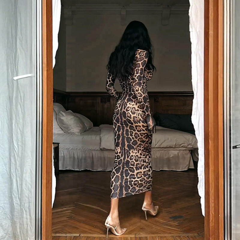 Rochie cu imprimeu animal, guler semi-înalt, mâneci lungi, talie înaltă, poliester, detalii de colaj