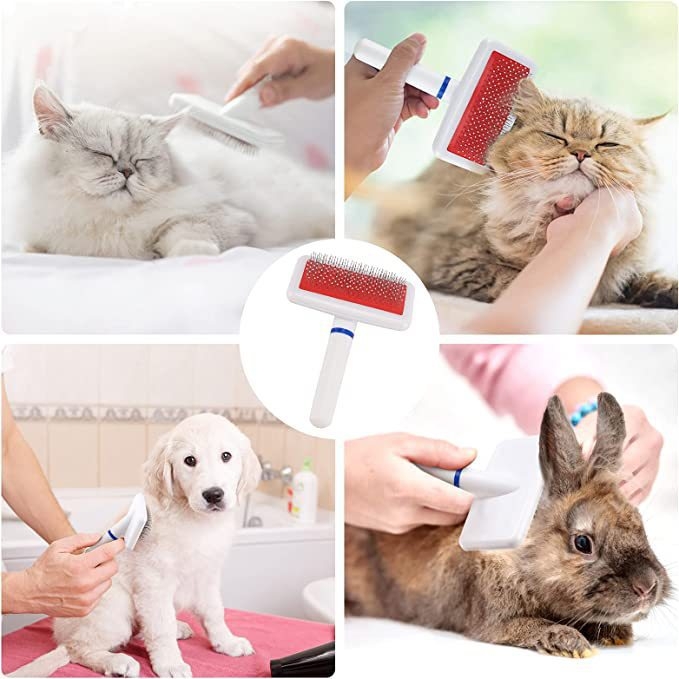 Pieptene pentru animale de companie pentru câini și pisici, cu mâner din plastic și dinți din oțel inoxidabil