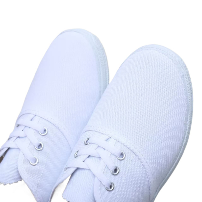 Pánske športové tenisky, vrchný materiál z plátna, nízky strih, špičatý nos, šnúrky, gumová podrážka s injekčným formovaním