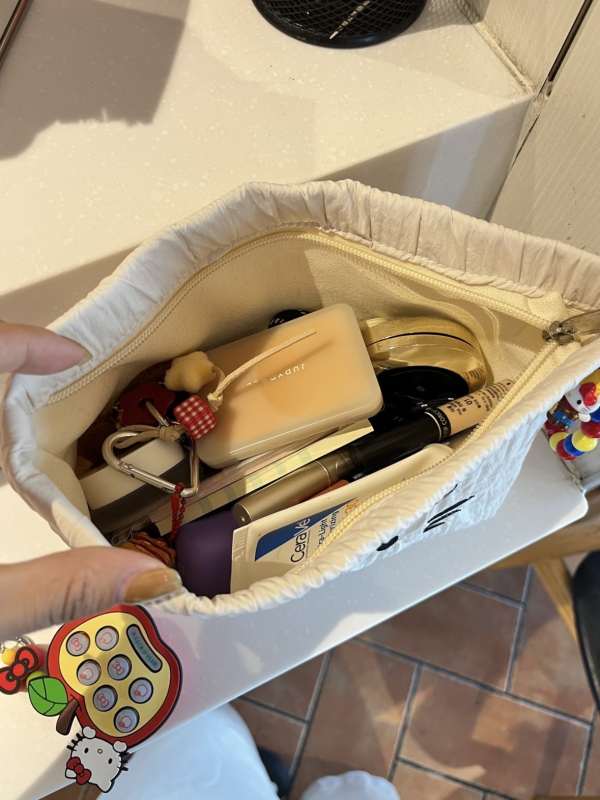 Τσάντα καλλυντικών με κέντημα γάτας, καμβάς, μοτίβο ζώου, επένδυση πολυεστέρα, στυλ παιδικού καρτούν, unisex