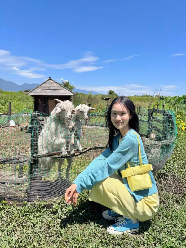 Bow Princess hónalji táska — Oxford anyagból, friss és édes stílus, tavasz 2025