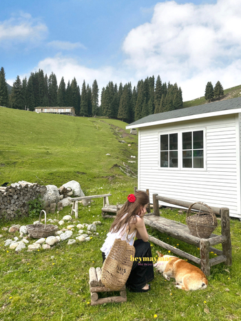 Geantă tote din paie cu căptușeală din bumbac, formă verticală pătrată, buzunar exterior deschis, vară 2025