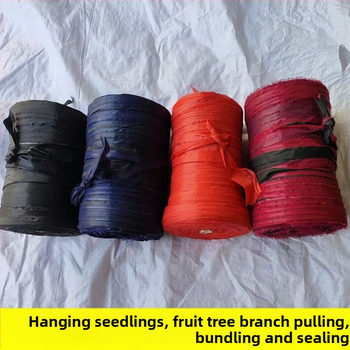 Audinio rišimo virvė sodo šakoms rišti, patvari įpakavimo juosta; medžiaga: audinys; taikymas: vaismedžių šakų rišimas; nominali apkrova 20; lūžio stiprumas 50; darbo temperatūra 50°C