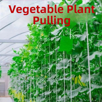 Audiniai tempimo dirzai su sagtimis – atsparūs oro sąlygoms, namų naudojimui, pritvirtinimui prie vaismedžių šakų ar daiktų (Maksimali apkrova 50 kg; Darbinė temperatūra 110; Standartas: grynas audinys; Prekės ženklas: Zhi chen)