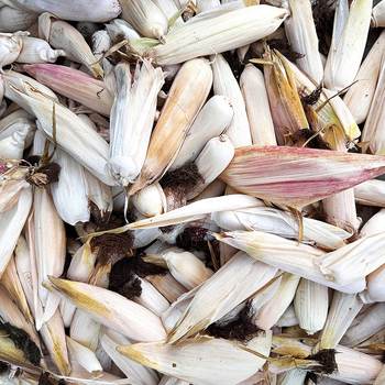 Ornament minimalist cu temă porumb | confecție semi-manuală și semi-mechanică | potrivit ca cadou publicitar sau cadou de afaceri | fără drepturi de proprietate intelectuală