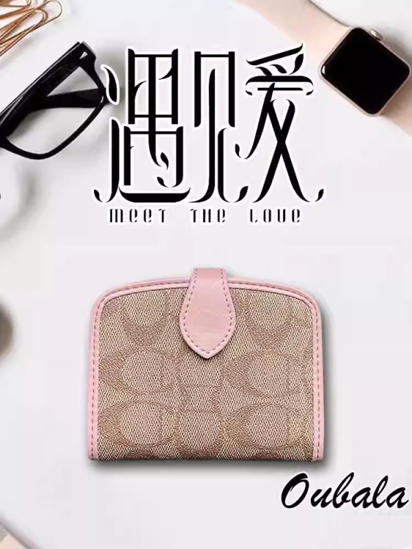 Husă de protecție pentru permisul de conducere, suport PVC pentru permis și certificate, husă de card pentru femei cu model litere, căptușeală din poliester, capacitate de extindere