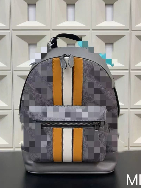 Unisex ruksak od PVC-a, vodootporan, kapacitet ispod 20 L, stil mlade kampusa, podstava od poliestera