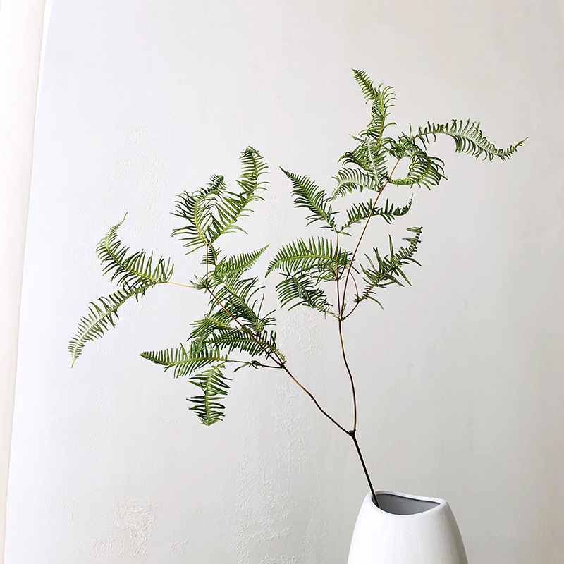 Suho lišće paprati Maidenhair, dekorativne flore; materijal: suho cvijeće; proces: 21899524470; sorta: 35229777565; pakiranje: tkana vrećica; marka: Fanatic
