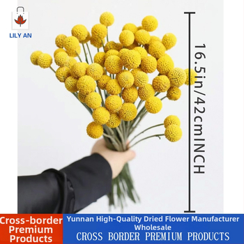 Buchet cu flori uscate în formă de sferă – Lily'an; Material: flori uscate; Varietate: Gold Ball; Potrivit ca dar pentru nunți, zile de naștere, inaugurări, absolvire, petreceri