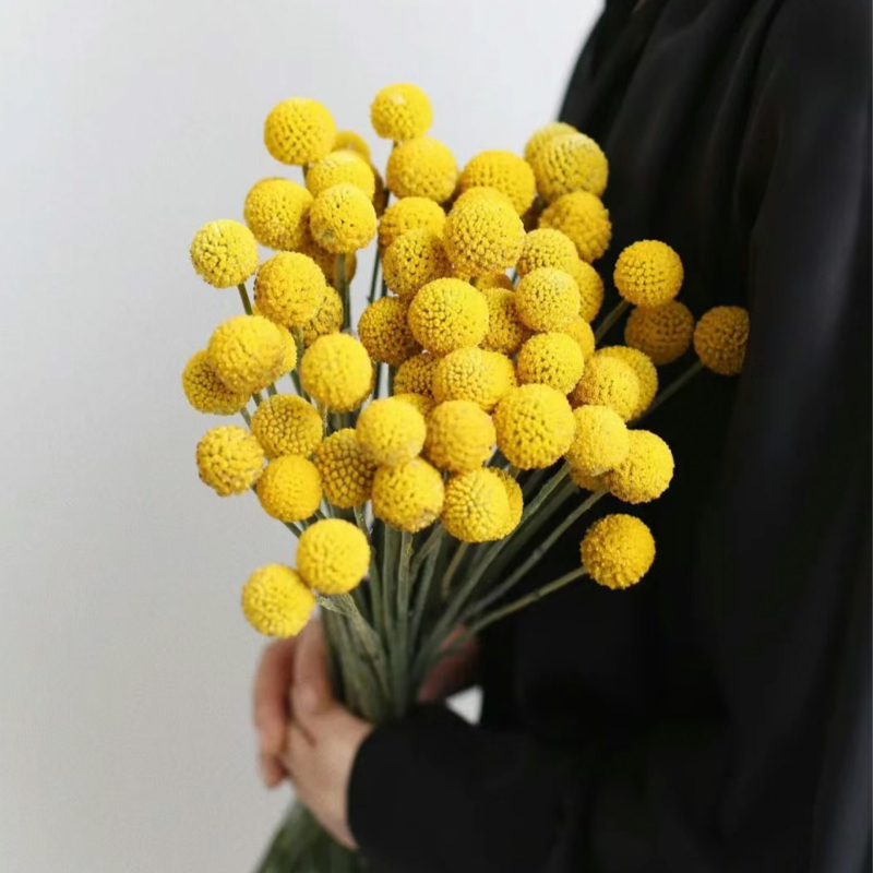 Buchet cu flori uscate în formă de sferă – Lily'an; Material: flori uscate; Varietate: Gold Ball; Potrivit ca dar pentru nunți, zile de naștere, inaugurări, absolvire, petreceri