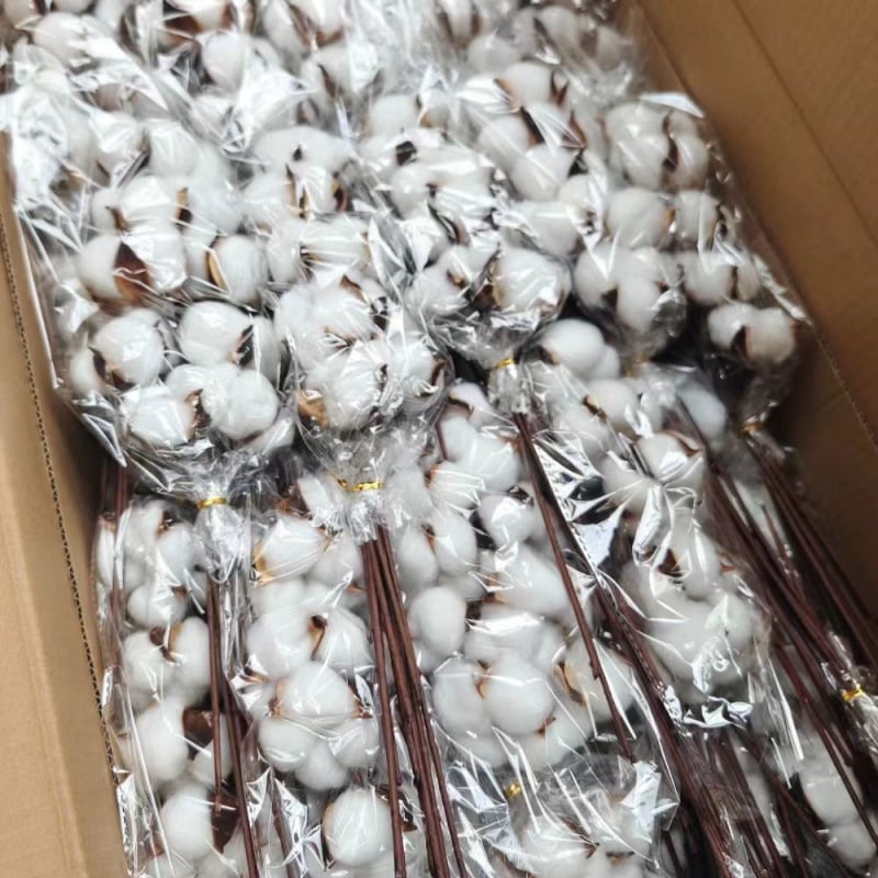 Ramuri uscate de kapok pentru decorul peretelui – nepigmentate, brand unic, altă varietate