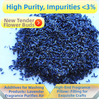 Szárított levendulavirágok - természetes virágillat, nem festett, tömeges csomagolás, 3% szennyeződés, fő összetevők: szárított levendulabimbók